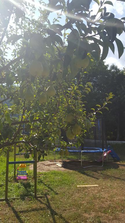 Holiday Home Adna Bihac Luaran gambar